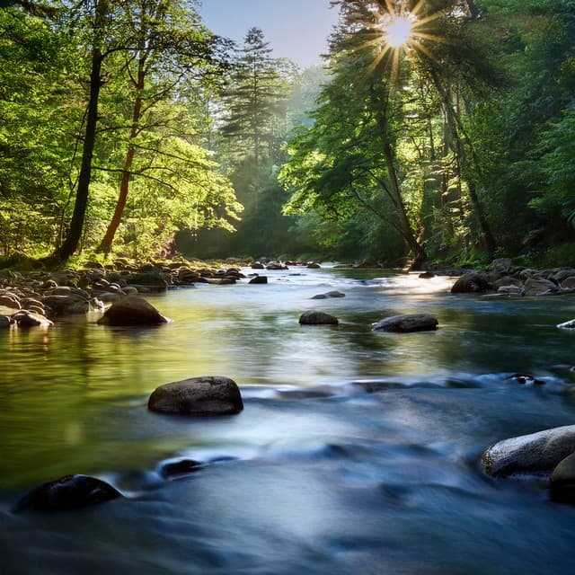 Music For Quiet And Inner Harmony - Deep Relaxation Exercises Academy