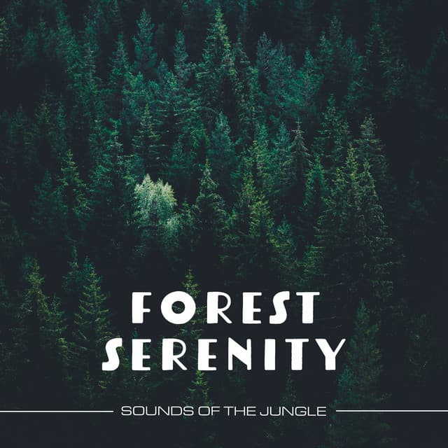 Forest Serenity - Sounds of the Jungle