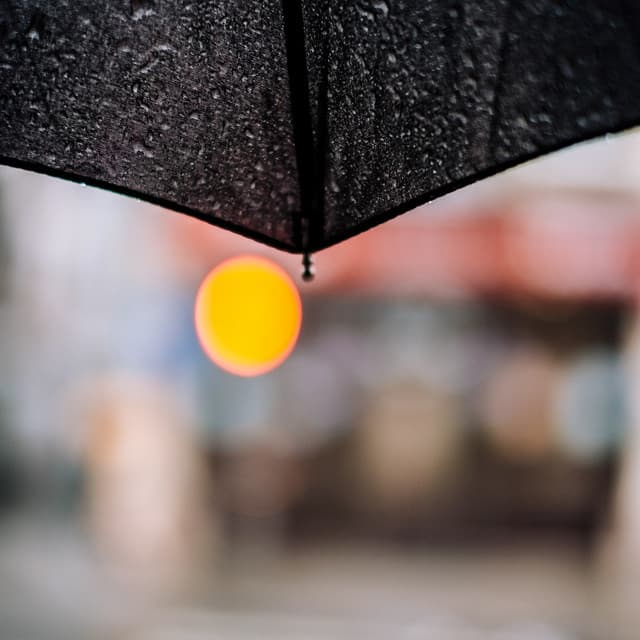 365 Rainfall: Midnight Rain Ritual - Meditation Rain Sounds