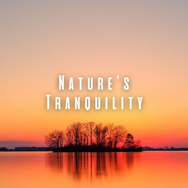 Nature's Tranquility: Ambient Sounds for Calming Spa Rituals - Nature Radiance