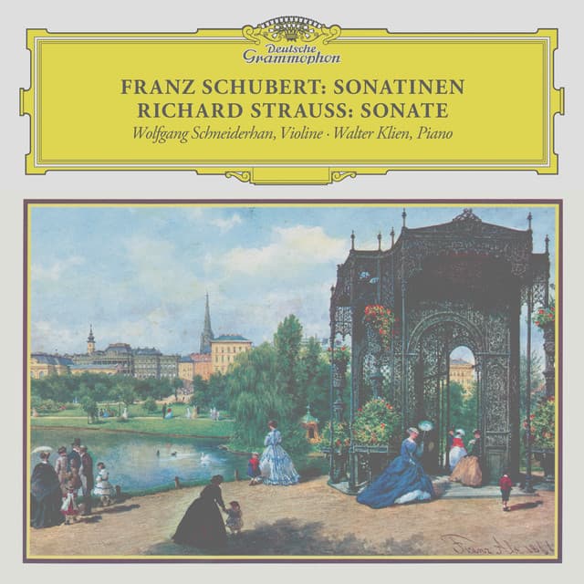 Schubert: Violin Sonata in A Major, D. 574; Fantasia in C Major, D. 934; Rondo in B Minor, D. 895 / R. Strauss: Violin Sonata in E-Flat Major, Op. 18 - Franz Schubert