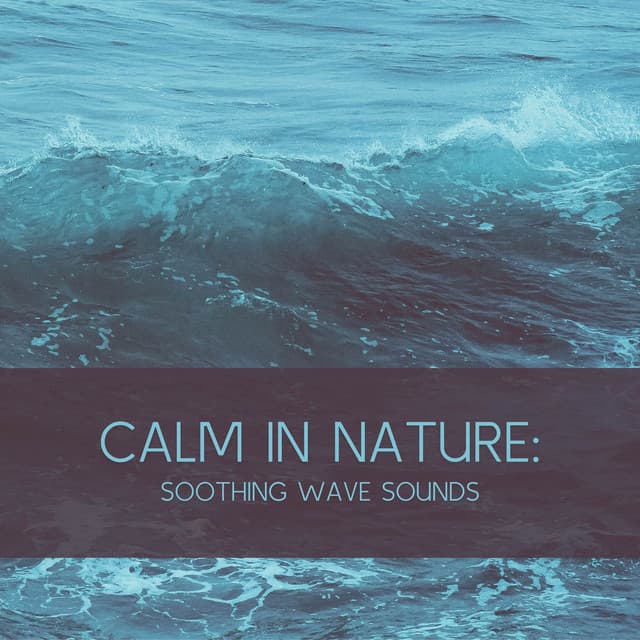 Calm in Nature: Soothing Wave sounds - Ocean Sounds