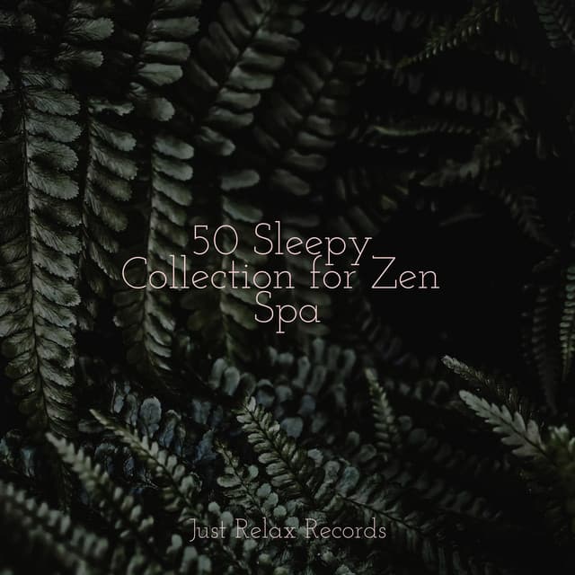 50 Sleepy Collection for Zen Spa - Lucid Dreaming World-Collective Unconscious Mind