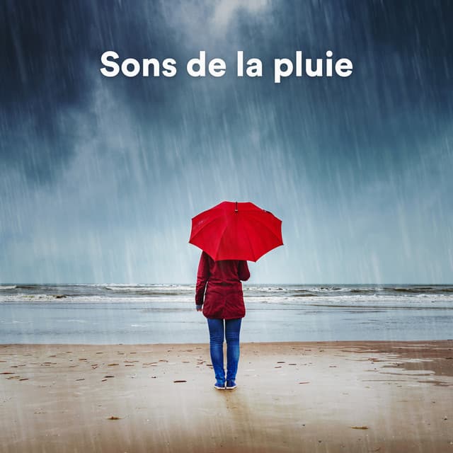 Sons de la pluie - Zen Ambiance D'eau Calme