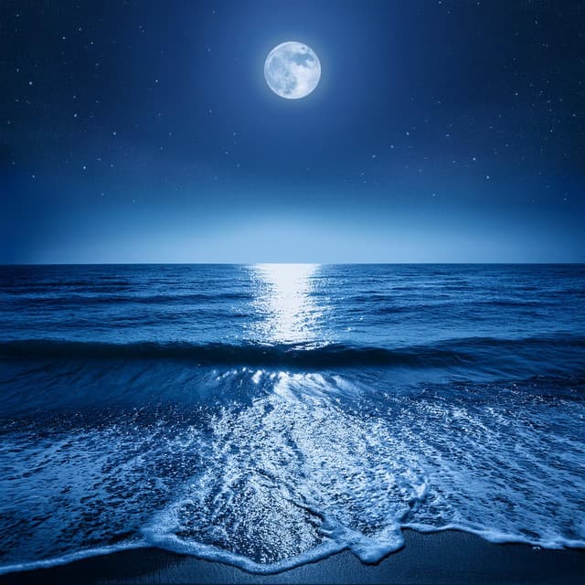 Dormir Profundamente: Música Lofi Para La Calma Nocturna - Latidos de soledad