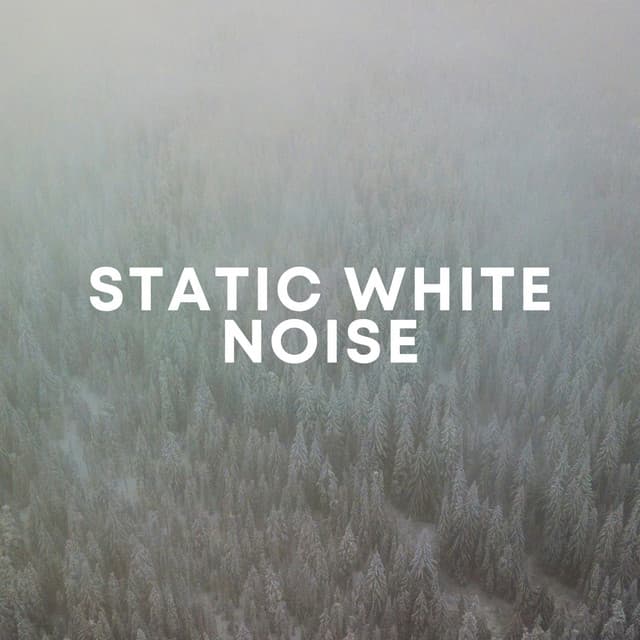 Static White Noise - The White Noise