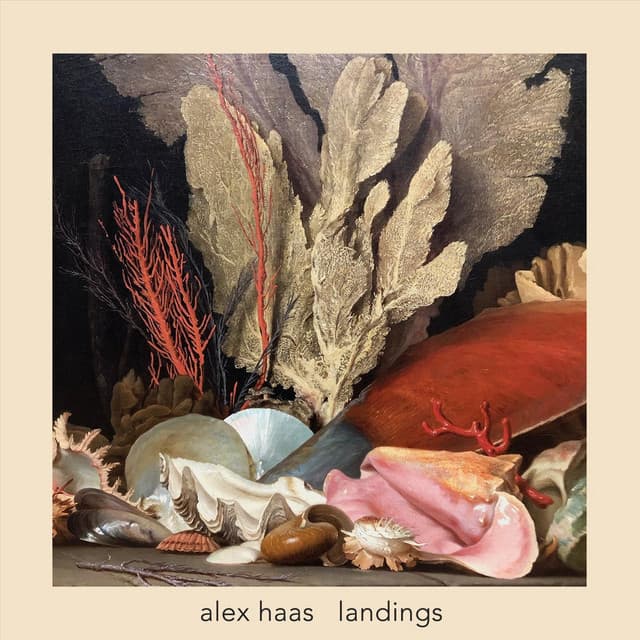 Landings - Alex Haas