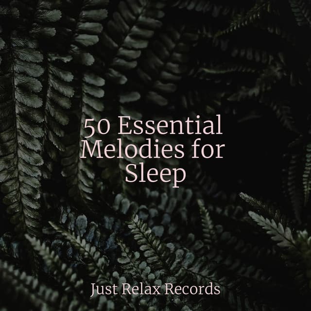 50 Essential Melodies for Sleep - Meditation Spa