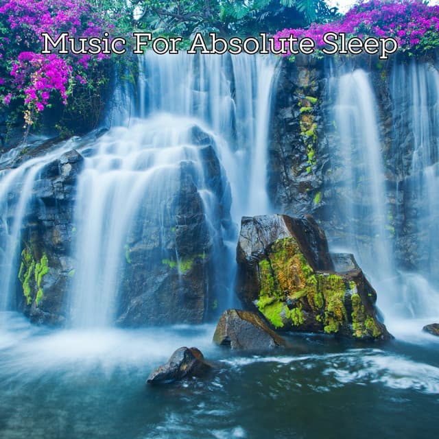 Sleeping Nature Sounds - Music For Absolute Sleep