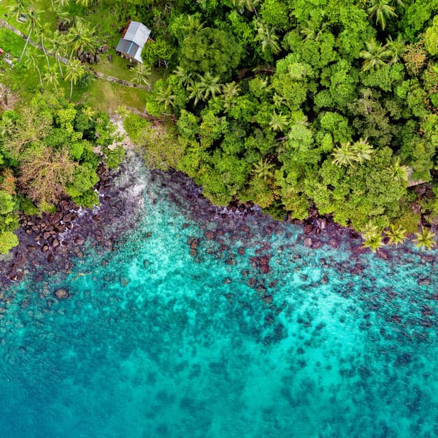 Chillout Melodies | the Bed Time - Relaxing Nature Ambience