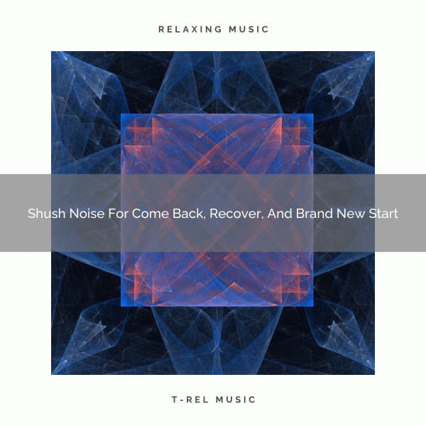 2021 New: Shush Noise For Come Back, Recover, And Brand New Start - Fan Noise for Sleep