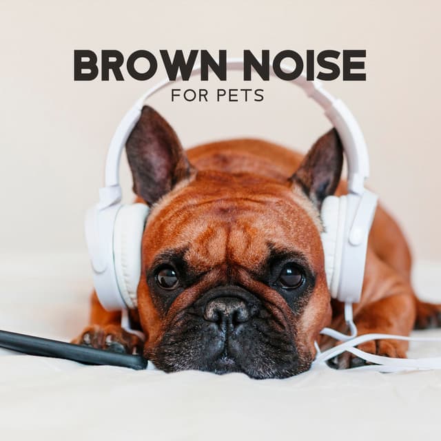 Brown Noise for Pets - Brown Noise!