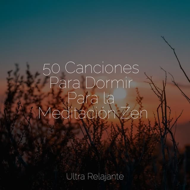 50 Canciones Para Dormir Para la Meditación Zen - Meditación Interna