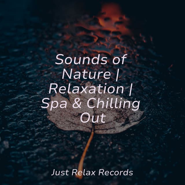Sounds of Nature | Relaxation | Spa & Chilling Out - Lullaby Land