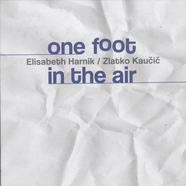 One Foot in the Air - Elisabeth Harnik