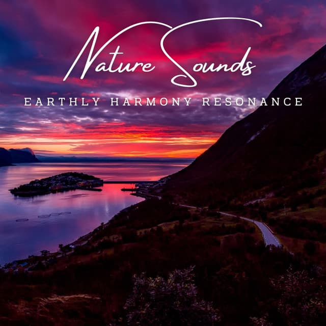 Harmony of the Elements: Meditative Nature Sounds - Bella Element