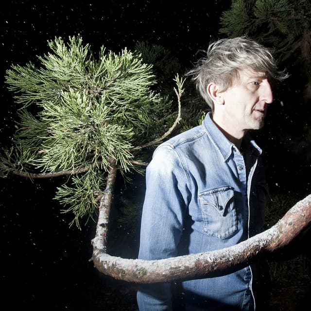 Thinking Like A Mountain - Merz