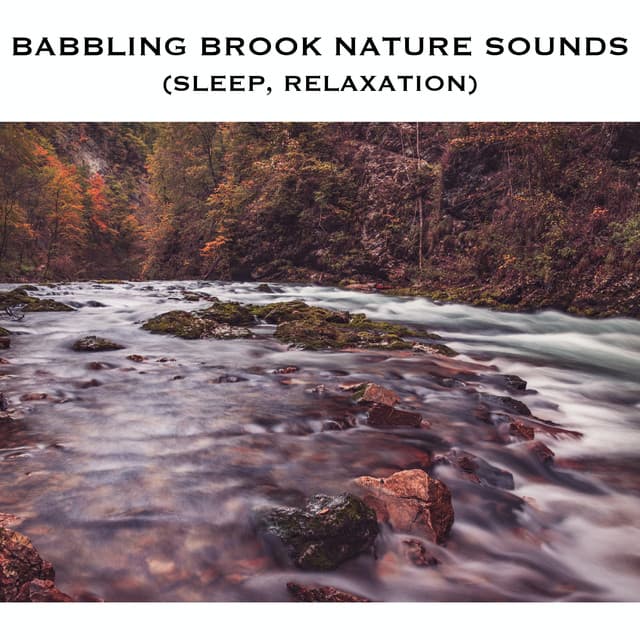 Babbling Brook