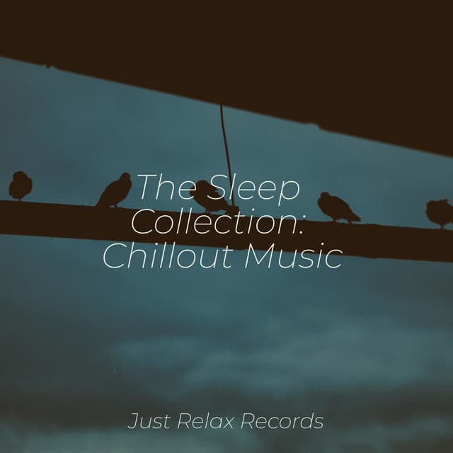 The Sleep Collection: Chillout Music - Musica para Bebes