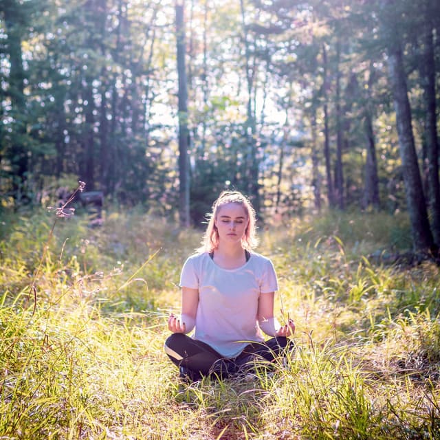 Meditation Melodies: Birds and Nature's Serene Journey - Nu Meditation Music