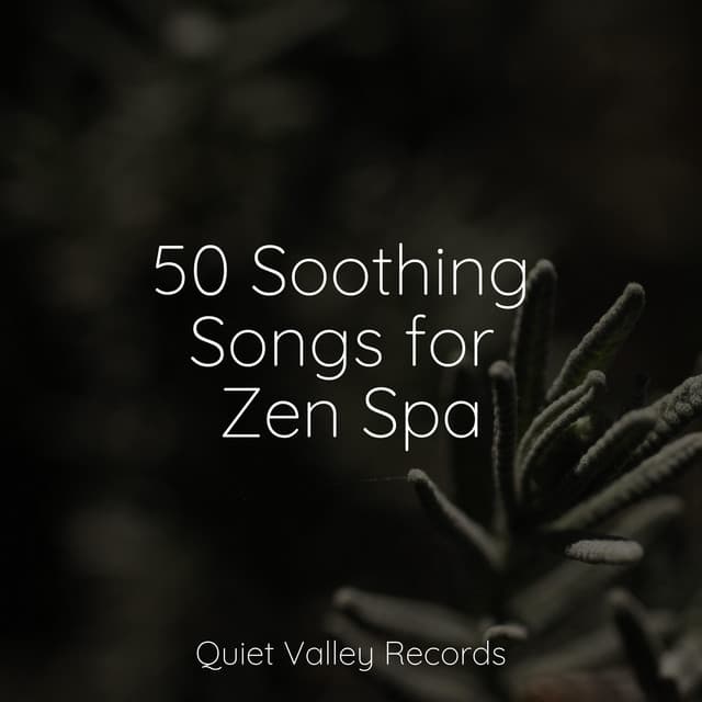 50 Soothing Songs for Zen Spa - Relaxing Nature Sounds Collection
