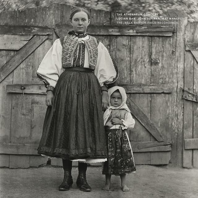 The Athenaeum Concert - Lucian Ban