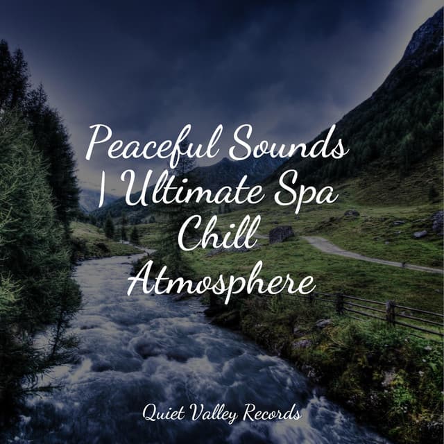Peaceful Sounds | Ultimate Spa Chill Atmosphere - Sounds Of Nature: Thunderstorm