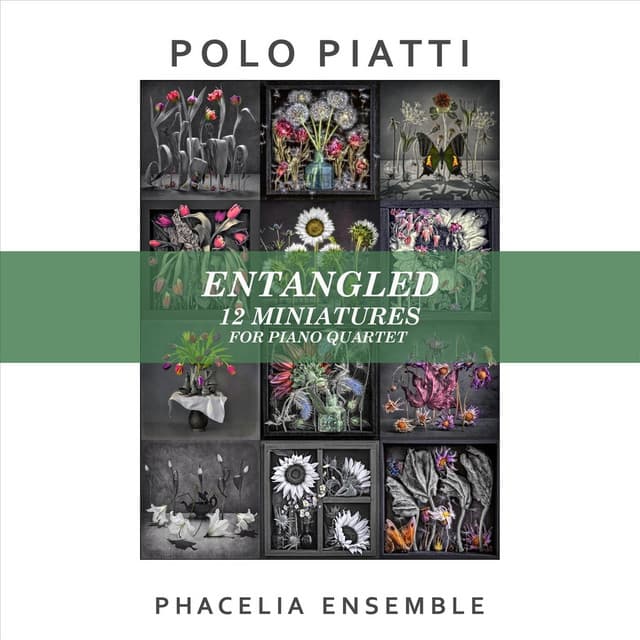 Polo Piatti: Entangled - 12 Miniatures for Piano Quartet - Polo Piatti