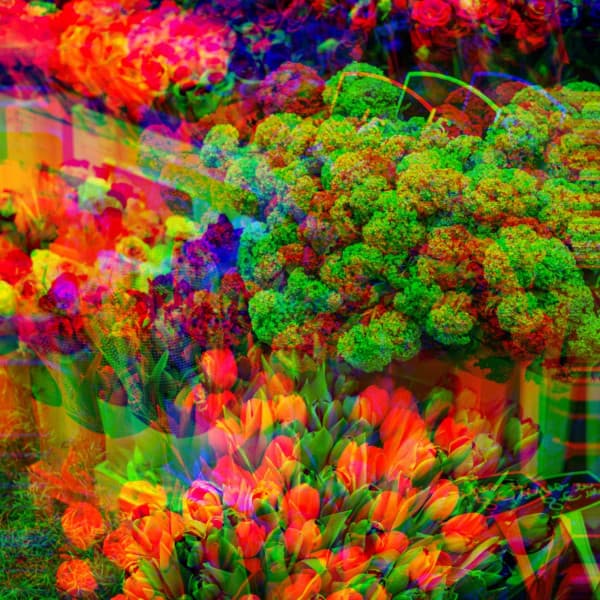 Feelings for Echelon Memories - Work at Home Lofi