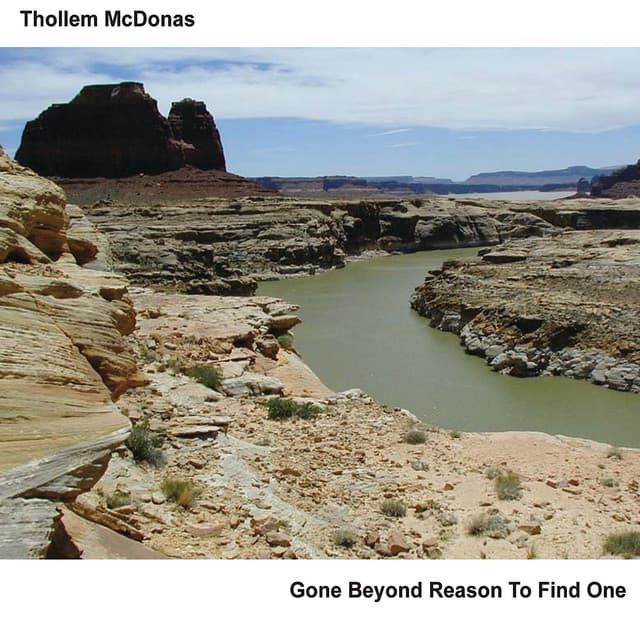 Gone Beyond Reason to Find One - Thollem Mcdonas