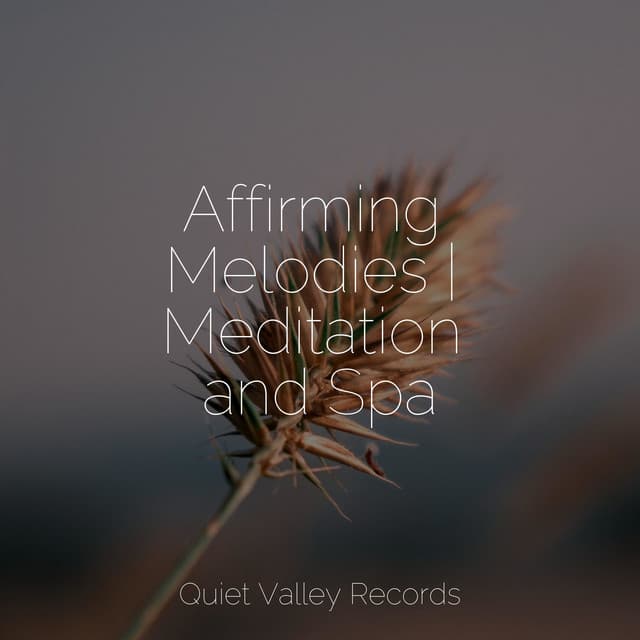 Affirming Melodies | Meditation and Spa - Baby Lullabies Music