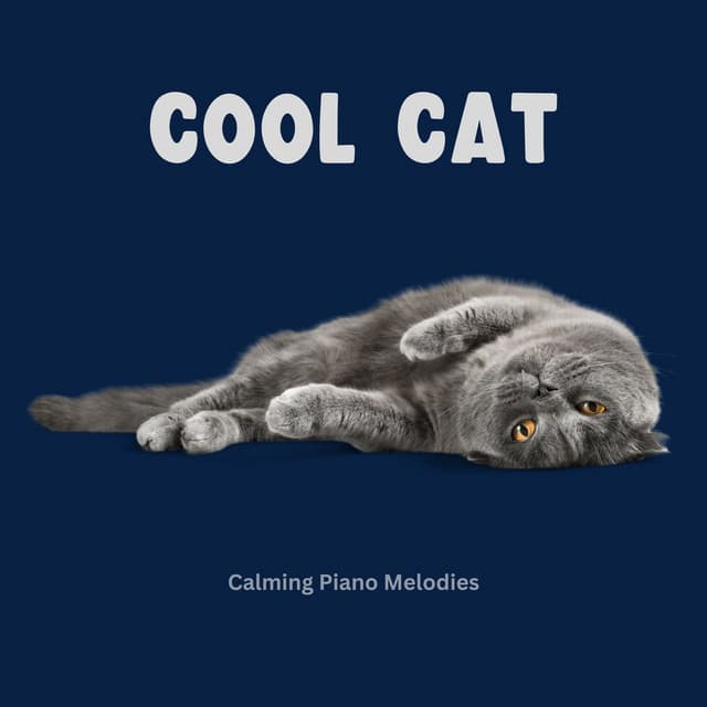 Cool Cat Calming Piano Melodies - Cat Music