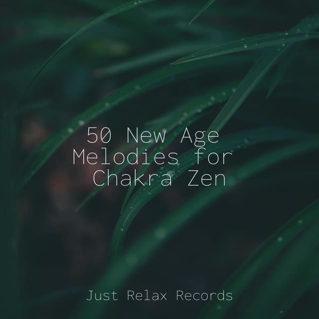 50 New Age Melodies for Chakra Zen - Relaxing Spa Music