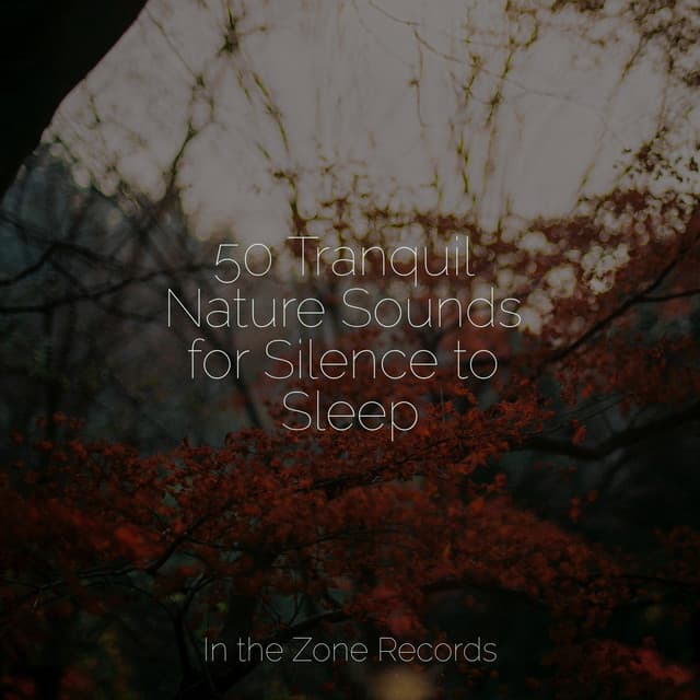 50 Tranquil Nature Sounds for Silence to Sleep - Calming Sounds