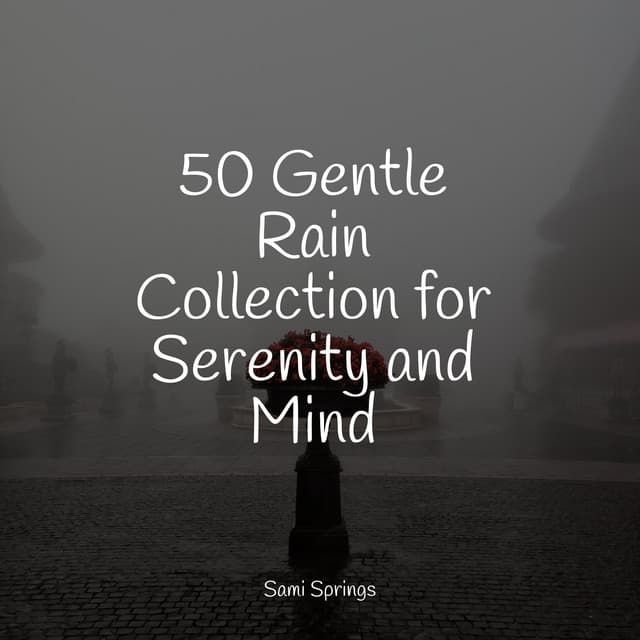 50 Gentle Rain Collection for Serenity and Mind - Deep Focus