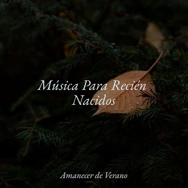 Música Para Recién Nacidos - Musica para Bebes