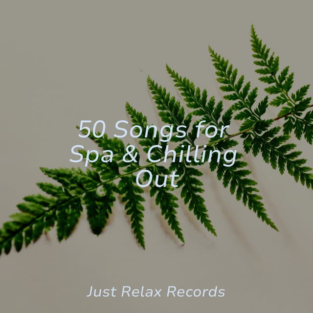 50 Songs for Spa & Chilling Out - Japanese Relaxation and Meditation