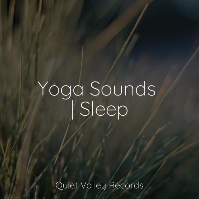 Yoga Sounds | Sleep - Música Zen Relaxante