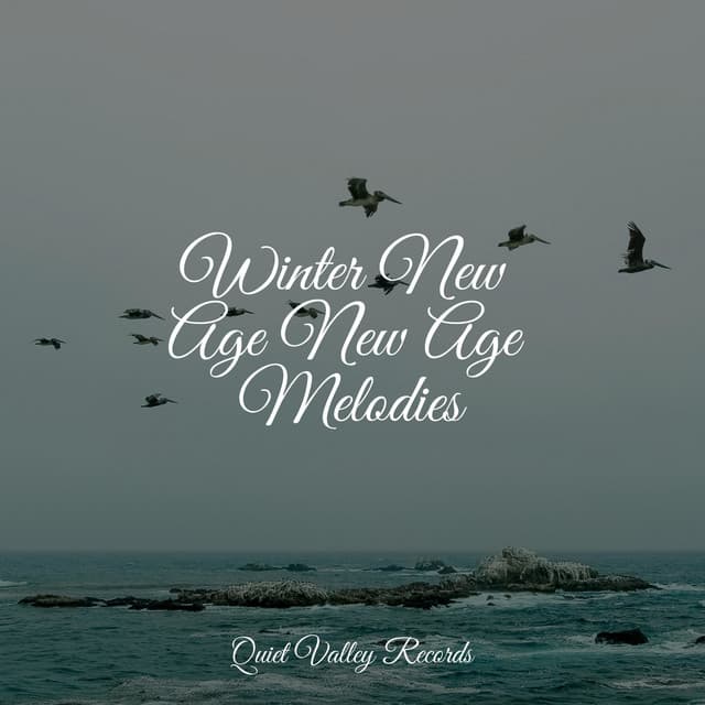 Winter New Age New Age Melodies - Tailormade Ocean Waves
