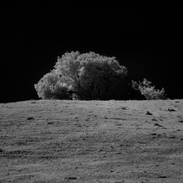 1 Ambient Night: Skyward Dreams - Calm Music