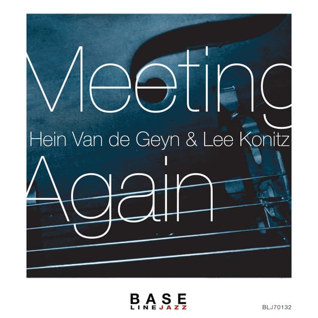 Meeting Again - Hein Van De Geyn