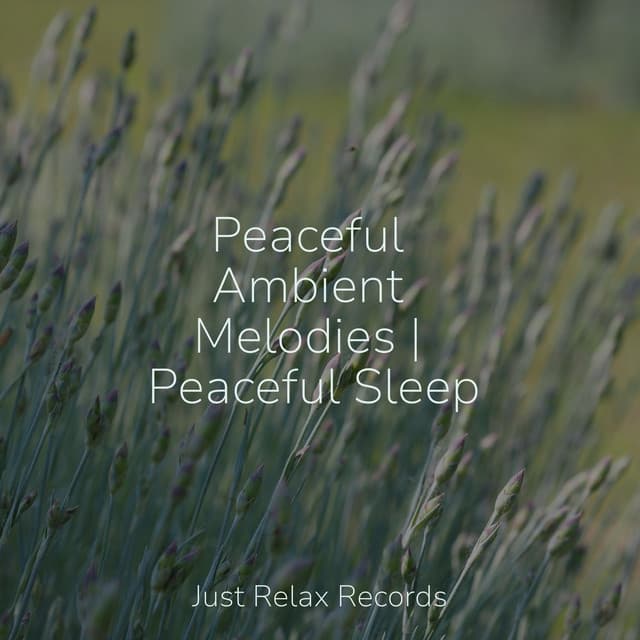 Peaceful Ambient Melodies | Peaceful Sleep - Anxiety Relief