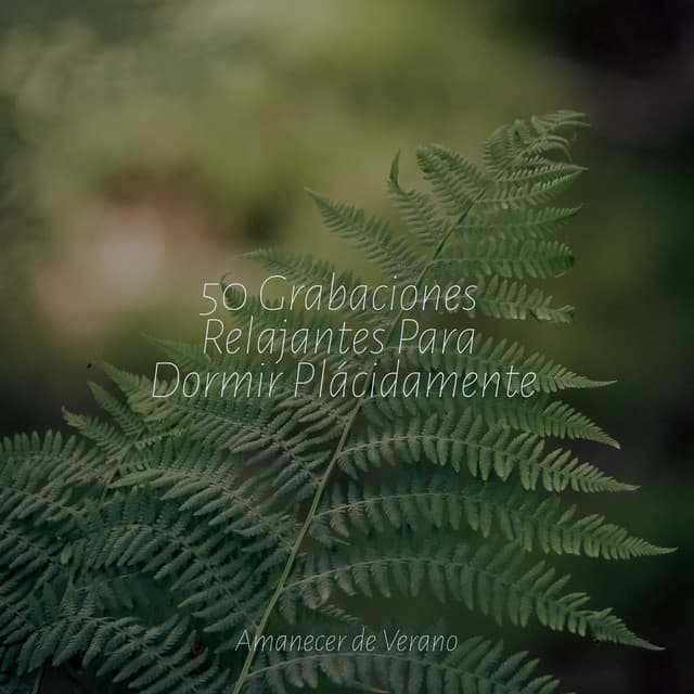 50 Grabaciones Relajantes Para Dormir Plácidamente - Yoga Music
