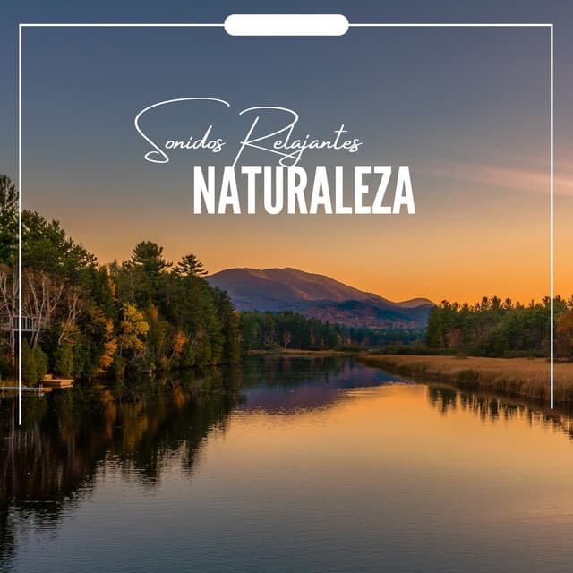 Sonidos Relajantes Naturaleza - Sonidos De Pajaros