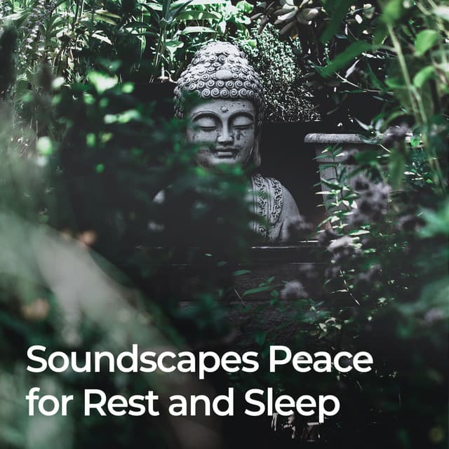 Soundscapes of Peace for Rest and Sleep - Natural Sounds