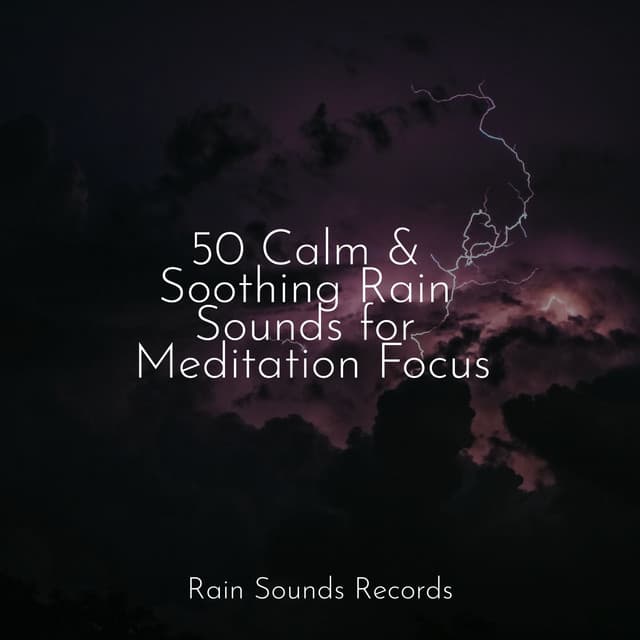 50 Calm & Soothing Rain Sounds for Meditation Focus - Musica Para Dormir y Sonidos de la Naturaleza