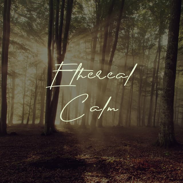 Ethereal Calm - Zen Music Garden