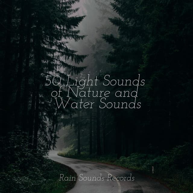 50 Light Sounds of Nature and Water Sounds - Canción de Cuna