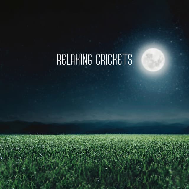 Relaxing Crickets: Good Night Sleep with Soothing Natural Sounds of Crickets by Field, Meadow and River - Trouble Sleeping Music Universe