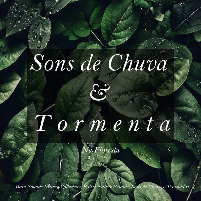 Sons de Chuva e Tormenta na Floresta - Rain Sounds Nature Collection